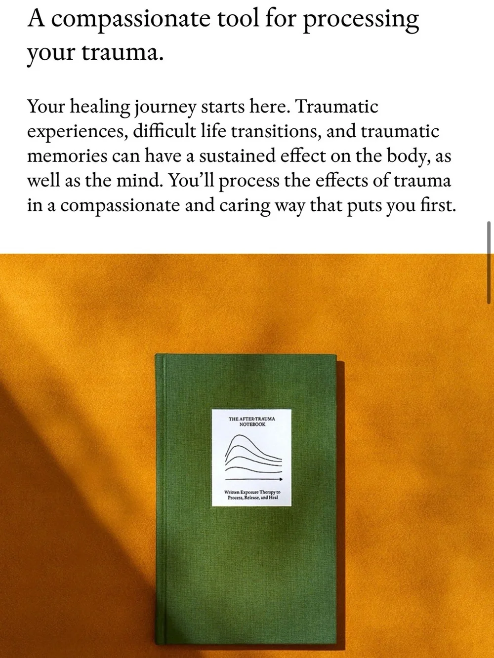 The After-Trauma Notebook